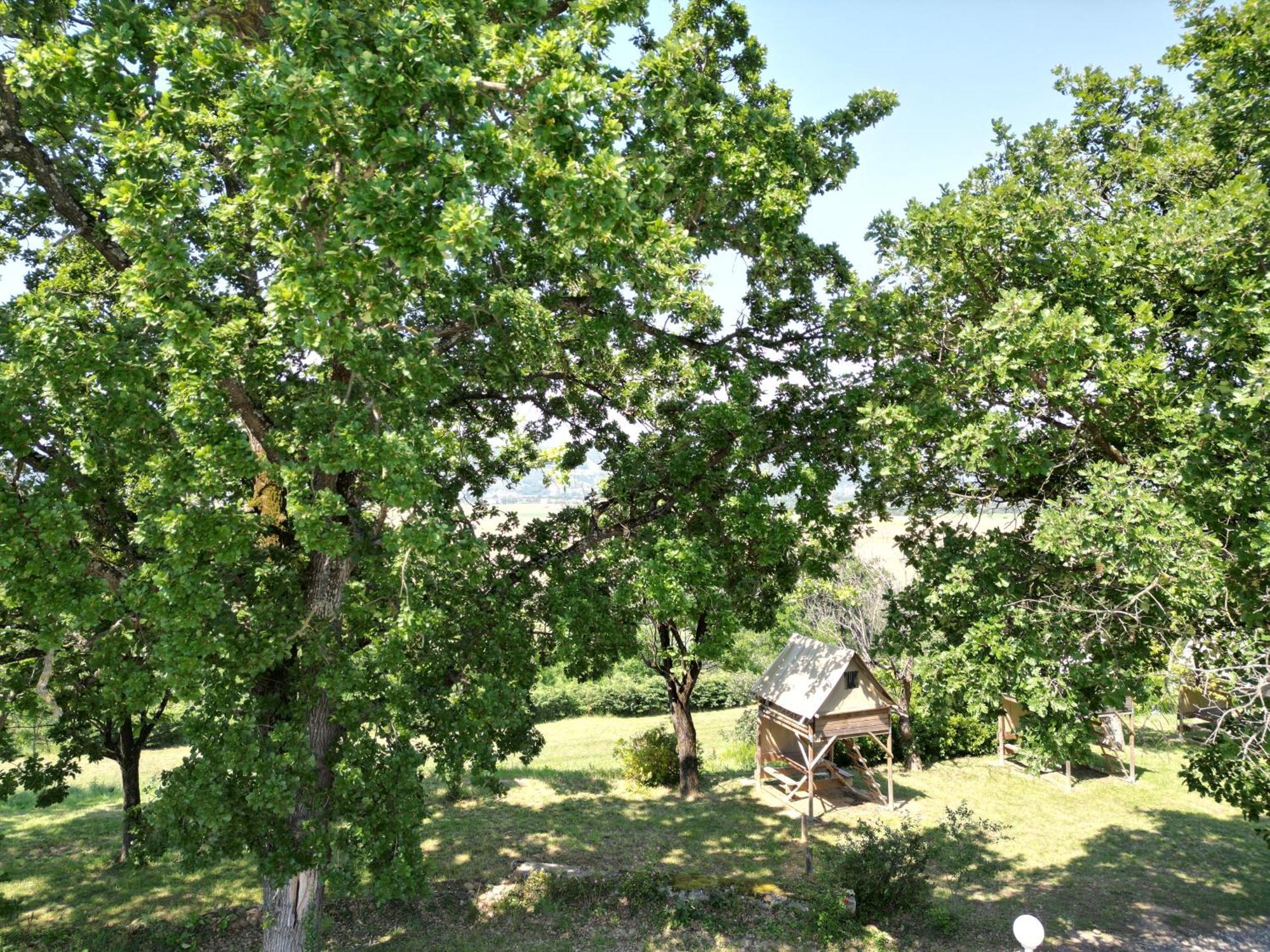 Camping Domaine De Senaud Albon Exterior photo